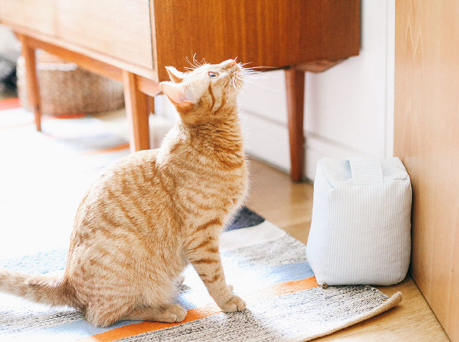 How to Make a Doorstop from a Pillowcase