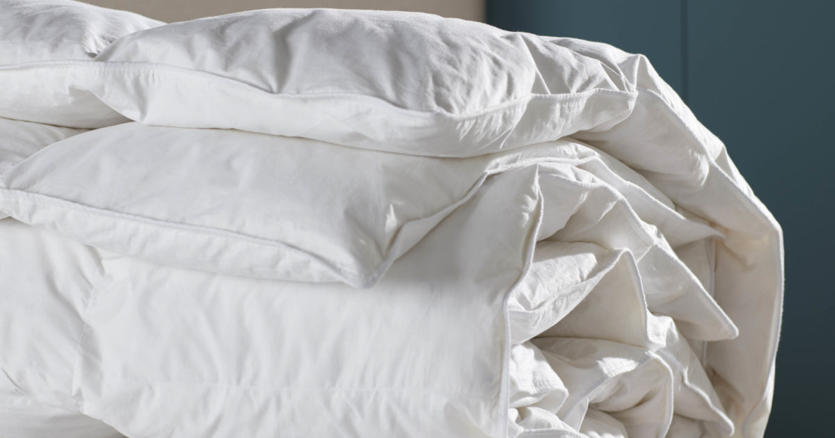 Darling Duck Natural Bedding European Duck Feather and Down Bedding