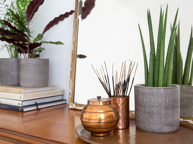 The Best House Plants for your Bedroom