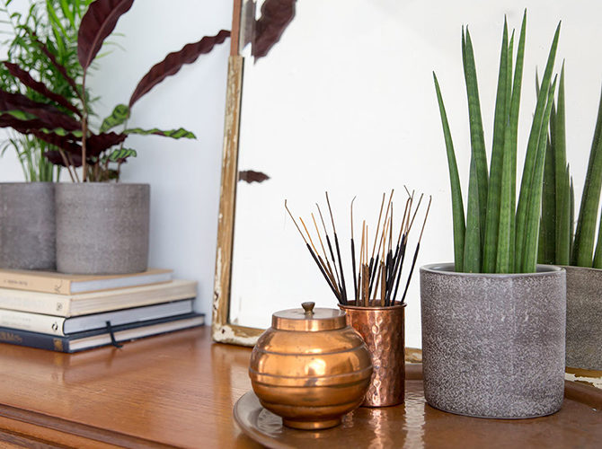 The Best House Plants for your Bedroom