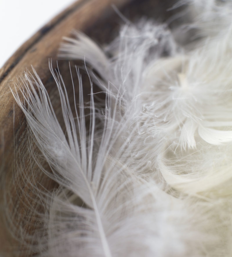 European Duck Feather & Down Bedding Secret Linen Store