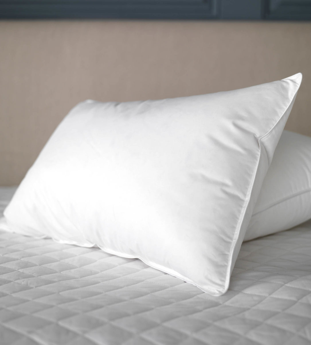 Gorgeous Goose Pillows European Goose Down