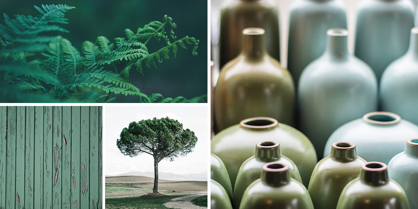 Collage of Green and Grey Images