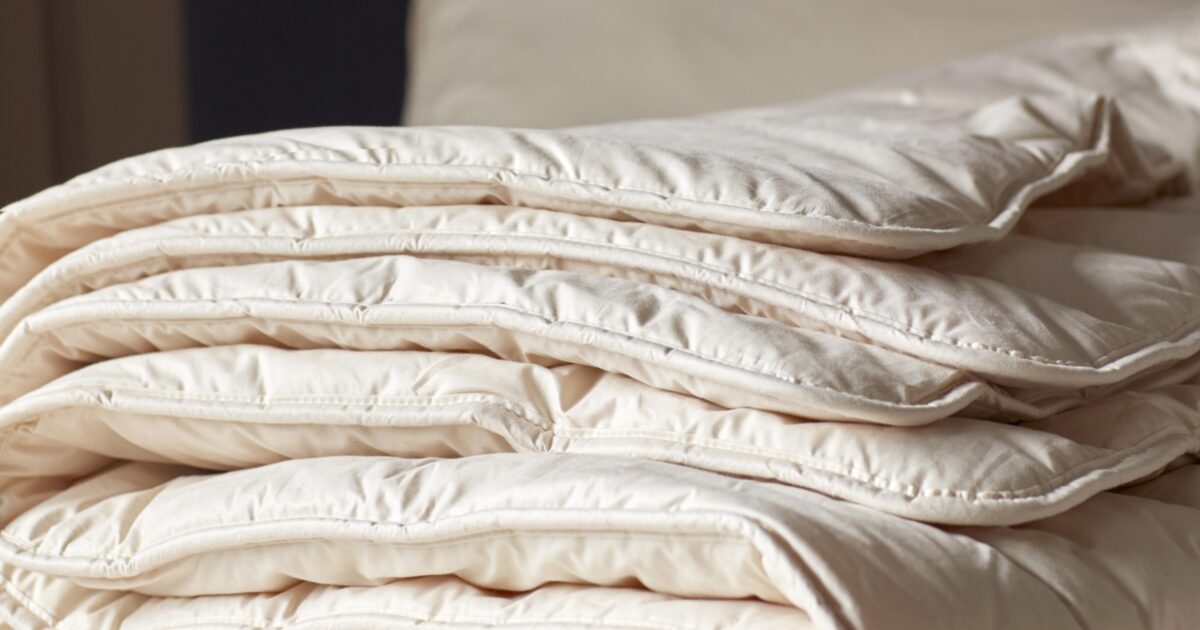 Baa Baa Bedtime Finest Organic Wool Duvet … Secret Linen Store