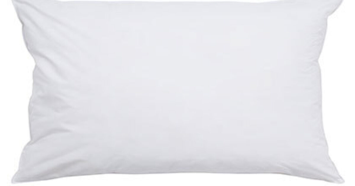 Feather Cushion Pad 60 x 40 cm Secret Linen Store
