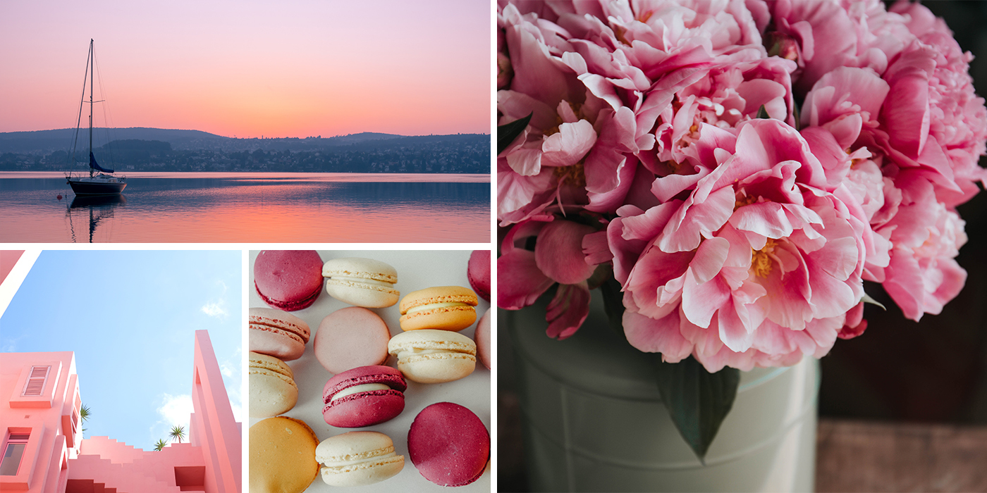 Blush Pink Ideas Blush Pink Ideas